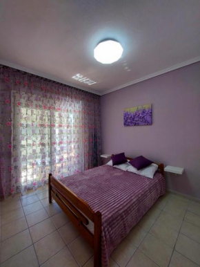 Orange Tree Apartment